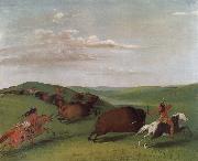 George Catlin Buffalo Chase with Bows and Lances oil painting on canvas